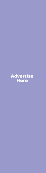 160x600